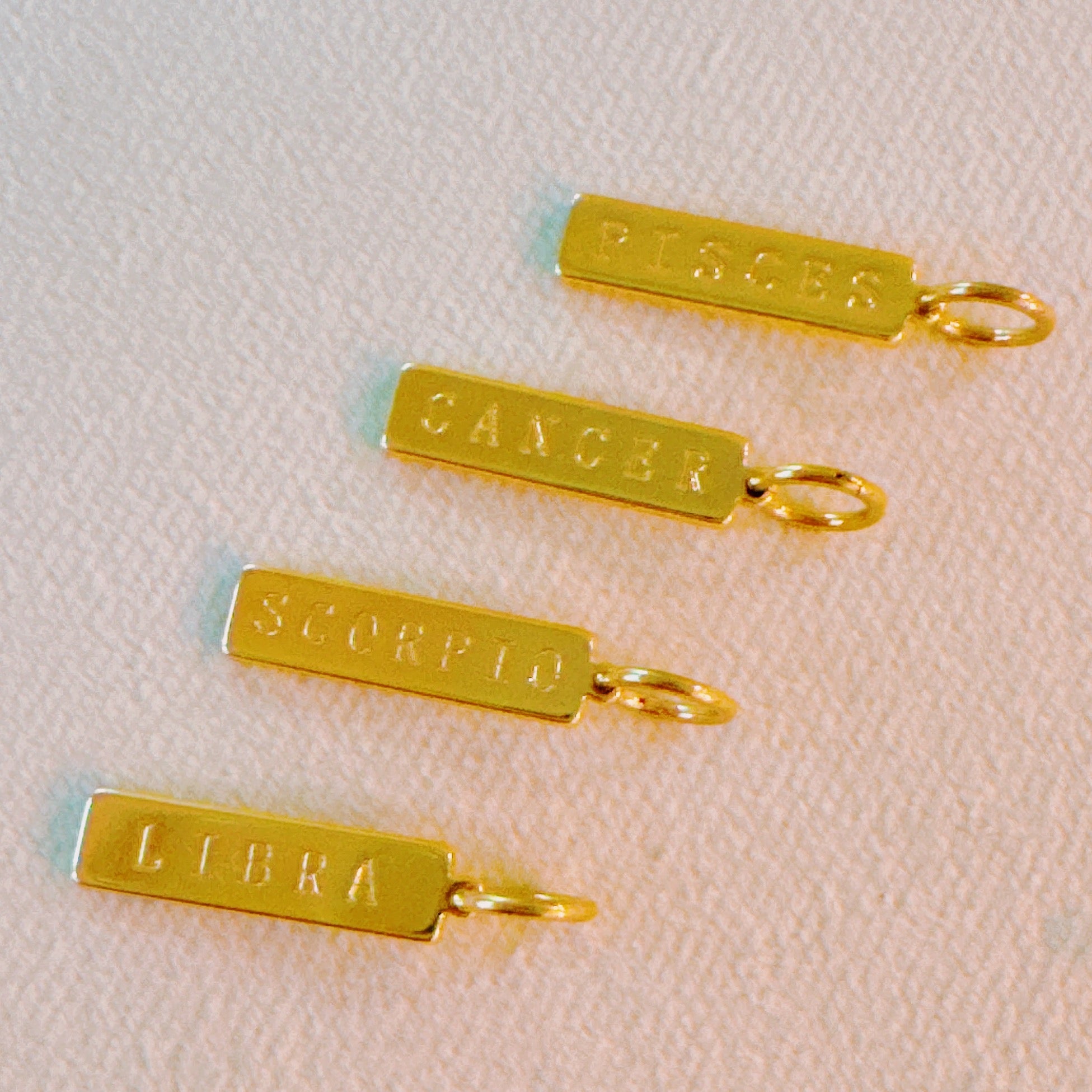 Zodiac Sign Bar Style Charm