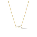 Zodiac Sign Necklace