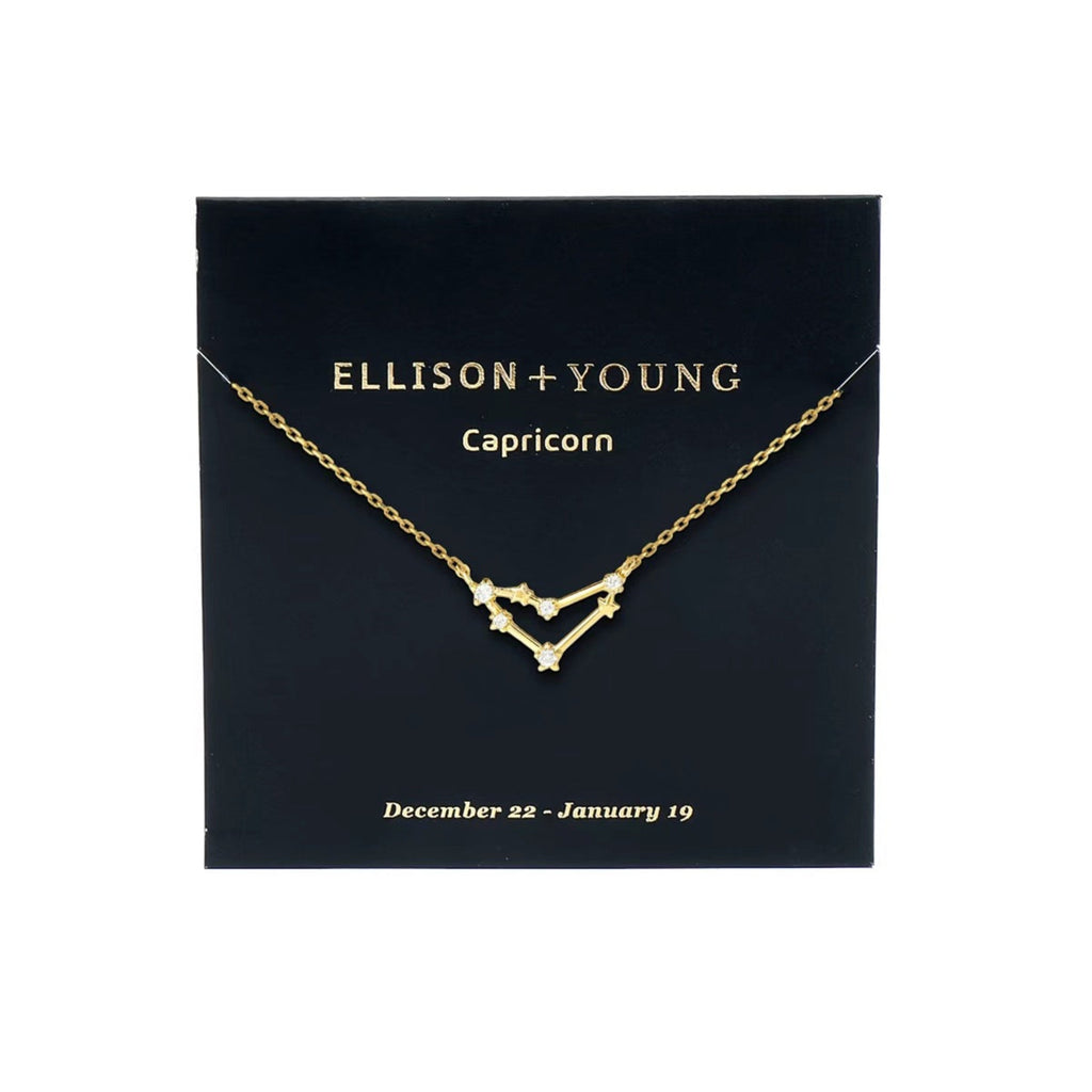Zodiac Sign Necklace